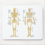 Humaan Skeleton met anatomiediagram Muismat<br><div class="desc">Humaan Skelet met de naam anatomy Chart T-T-shirts, stickers, kaarten en nog veel meer geweldige cadeaus voor je favoriete dokter of plezier krijgen snel kaarten.</div>