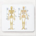 Humaan Skeleton met anatomiediagram Muismat<br><div class="desc">Humaan Skelet met de naam anatomy Chart T-T-shirts,  stickers,  kaarten en nog veel meer geweldige cadeaus voor je favoriete dokter of plezier krijgen snel kaarten.</div>