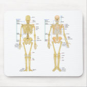 Humaan Skeleton met anatomiediagram Muismat (Voorkant)