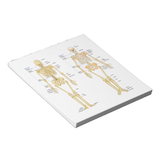 Humaan Skeleton met anatomiediagram Notitieblok (Schuin)