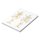 Humaan Skeleton met anatomiediagram Notitieblok (Linkerzijde)
