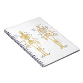 Humaan Skeleton met anatomiediagram Notitieboek (Rechterzijde)