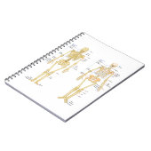 Humaan Skeleton met anatomiediagram Notitieboek (Linkerzijde)
