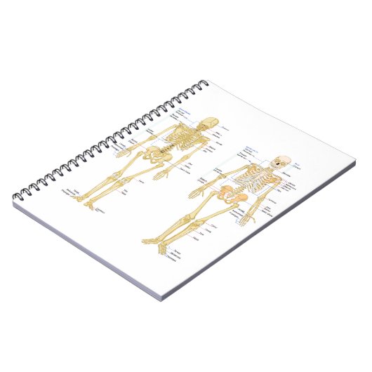 Humaan Skeleton met anatomiediagram Notitieboek (Linkerzijde)