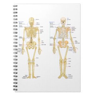 Humaan Skeleton met anatomiediagram Notitieboek