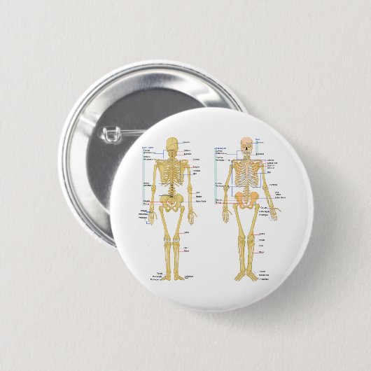 Humaan Skeleton met anatomiediagram Ronde Button 5,7 Cm (Voorkant /achterkant)