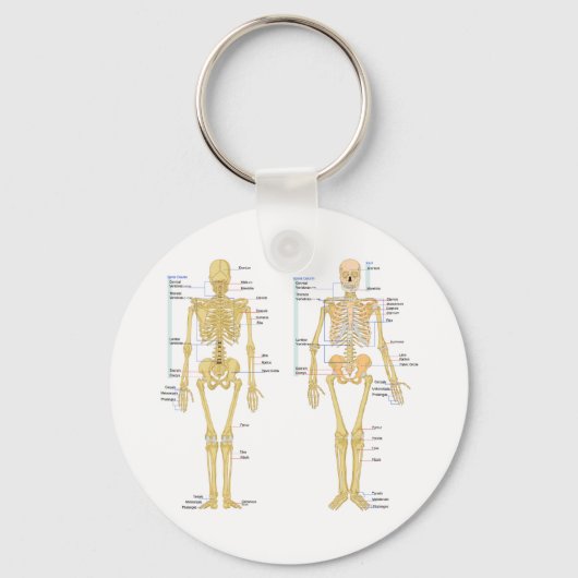 Humaan Skeleton met anatomiediagram Sleutelhanger (Voorkant)