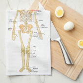 Humaan Skeleton met anatomiediagram Theedoek (Quarter Fold)