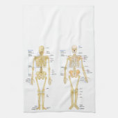 Humaan Skeleton met anatomiediagram Theedoek (Verticaal)