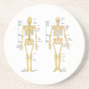 Humaan Skeleton met anatomiediagram Zandsteen Onderzetter