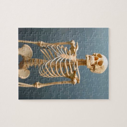 Humaan Skeleton Puzzle Legpuzzel (Horizontaal)