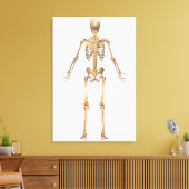 Humaan Skeletstelsel, Rugpijn Uitzicht Canvas Afdruk (Insitu (Woonkamer))
