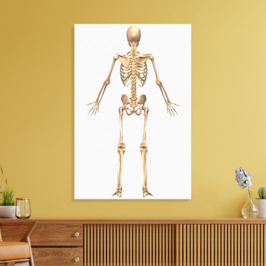 Humaan Skeletstelsel, Rugpijn Uitzicht Canvas Afdruk (Insitu (Woonkamer))