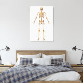 Humaan Skeletstelsel, Rugpijn Uitzicht Canvas Afdruk (Insitu (Slaapkamer))