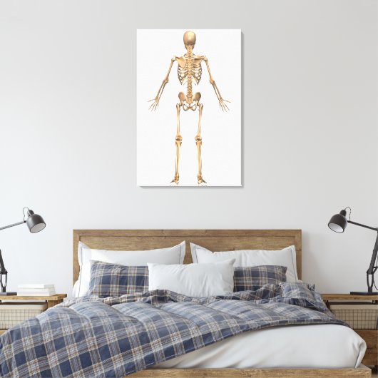 Humaan Skeletstelsel, Rugpijn Uitzicht Canvas Afdruk (Insitu (Slaapkamer))