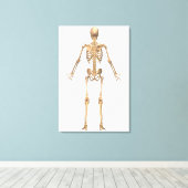 Humaan Skeletstelsel, Rugpijn Uitzicht Canvas Afdruk (Insitu (Houten vloer))