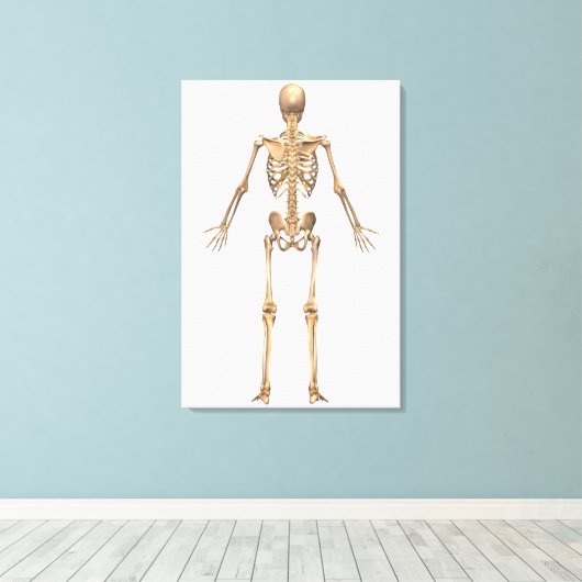 Humaan Skeletstelsel, Rugpijn Uitzicht Canvas Afdruk (Insitu (Houten vloer))