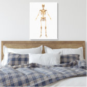 Humaan Skeletsysteem, voorste Uitzicht Canvas Afdruk (Insitu (Slaapkamer))