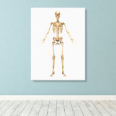 Humaan Skeletsysteem, voorste Uitzicht Canvas Afdruk (Insitu (Houten vloer))