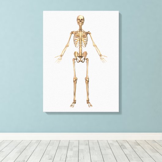 Humaan Skeletsysteem, voorste Uitzicht Canvas Afdruk (Insitu (Houten vloer))