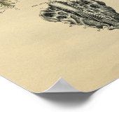 Humaan Spinaal Nerves Anatomy 1902  Print (Hoek)