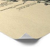 Humaan Spine Anatomy 1902  Print (Hoek)