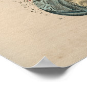 Humaan zenuwstelsel Anatomie 1841 Afdruk Poster (Hoek)