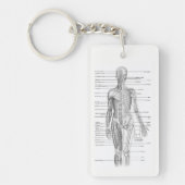 Human Anatomy AP101 Educational Diagram Sleutelhan Sleutelhanger (Voorkant)