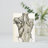 Human Anatomy Art Back Muscles (1890) Briefkaart (Staand voorkant)