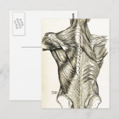 Human Anatomy Art Back Muscles (1890) Briefkaart (Voorkant / Achterkant)