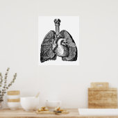 Human Anatomy Heart Lungs Science Art Poster (Keuken)