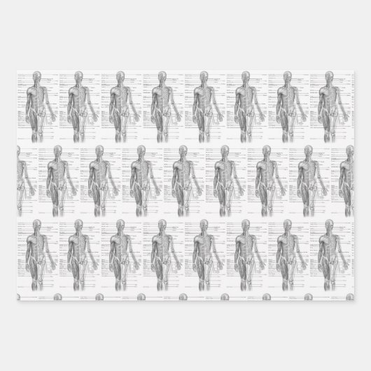 Human Anatomy Medical chart Inpakpapier Vel (Voorkant 3)