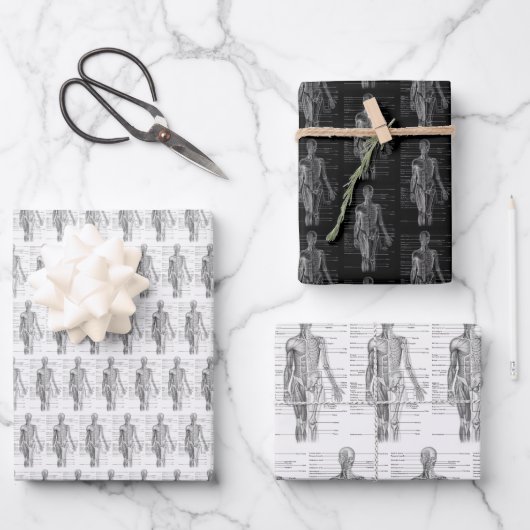 Human Anatomy Medical chart Inpakpapier Vel (Voorkant)