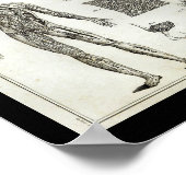 Human Arteries Anatomy  Print (Hoek)