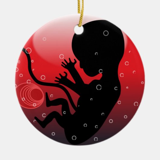 HUMAN BABY EMBRYO KERAMISCH ORNAMENT (Voorkant)