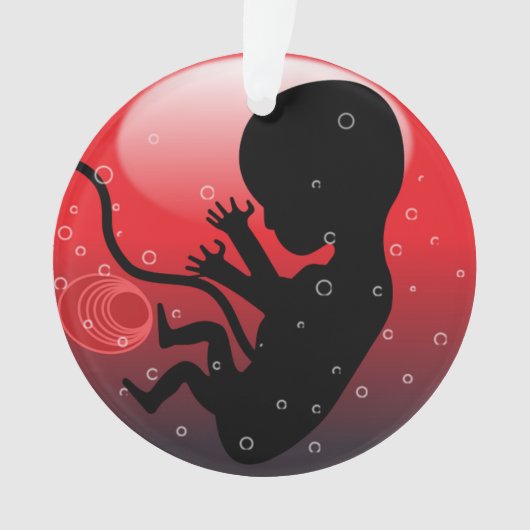 HUMAN BABY EMBRYO ORNAMENT (voorkant)