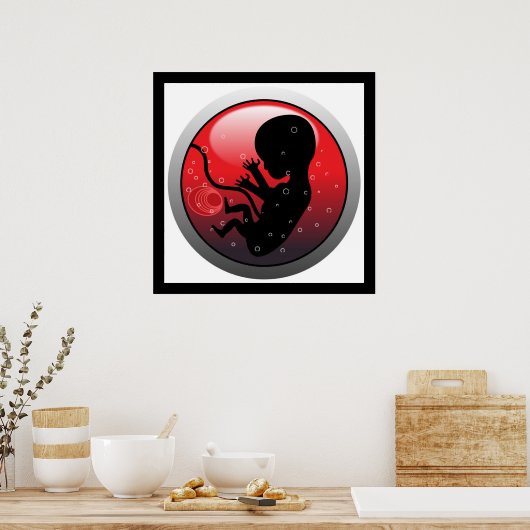 HUMAN BABY EMBRYO POSTER (Keuken)