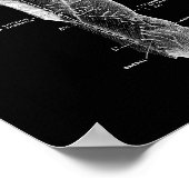 Human Back Anatomy in Black and White Print (Hoek)