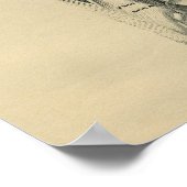 Human Back Muscles Anatomy 1902  Print (Hoek)