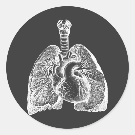 Human Biology Anatomy Heart Lungs Science Art Ronde Sticker (Voorkant)