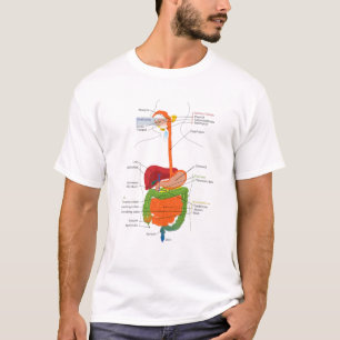 Human Body Digestive System Gastrointestinal Tract T-shirt