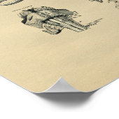 Human Brain Anatomy 1902  Print (Hoek)