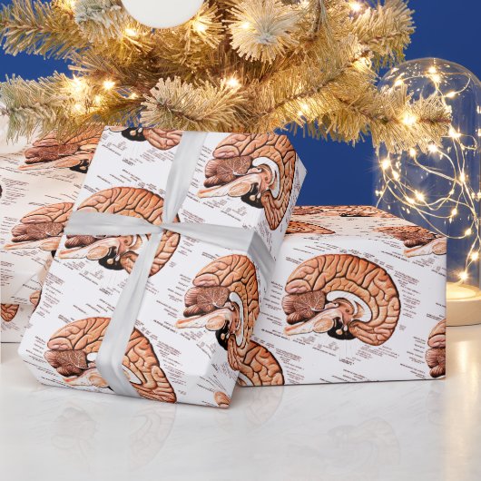 Human Brain Anatomy Medical Diagram Novelty Cadeaupapier (Feestdagen)
