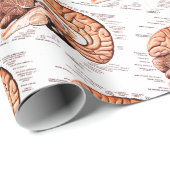 Human Brain Anatomy Medical Diagram Novelty Cadeaupapier (Rol Hoek)