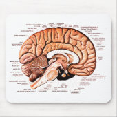 Human Brain Anatomy Medical Diagram Novelty Muismat (Voorkant)