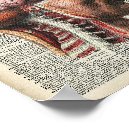 Human Brain Anatomy Poster (Hoek)