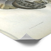 Human Brain  Anatomy Print (Hoek)