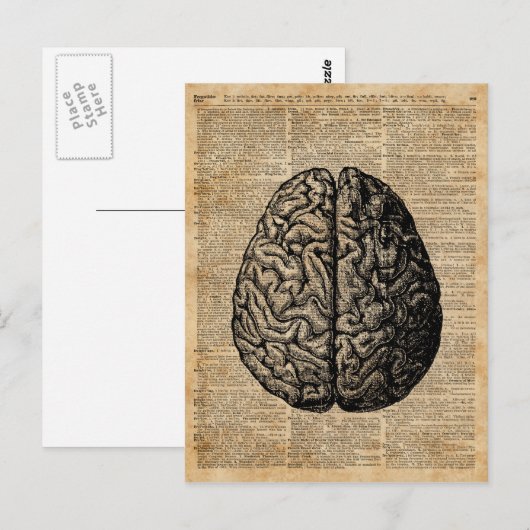 Human Brain  Illustratie Dictionary Art Briefkaart (Voorkant / Achterkant)