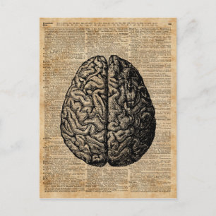 Human Brain  Illustratie Dictionary Art Briefkaart