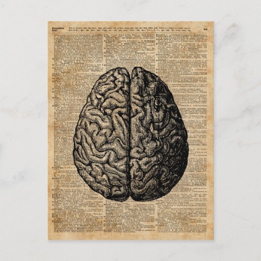 Human Brain Illustratie Dictionary Art Briefkaart (Voorkant)